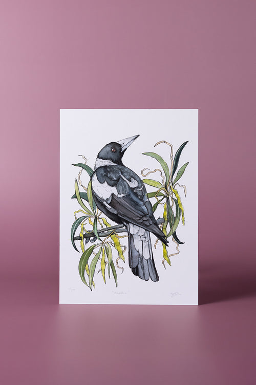 Chatter Giclée Print