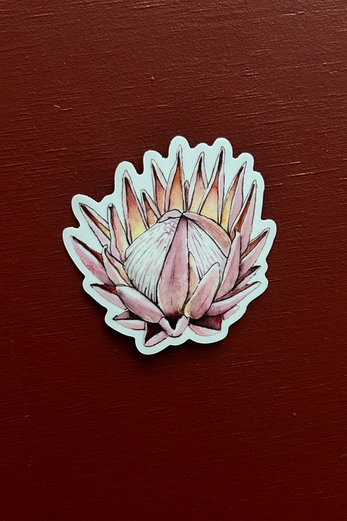 King Protea Vinyl Sticker