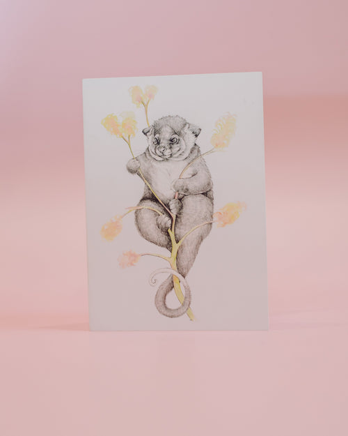 Possum Magic Greeting Card