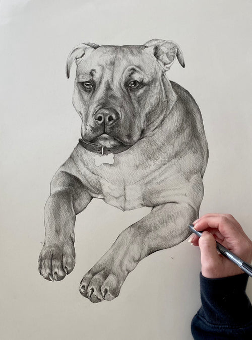 PET COMMISSION