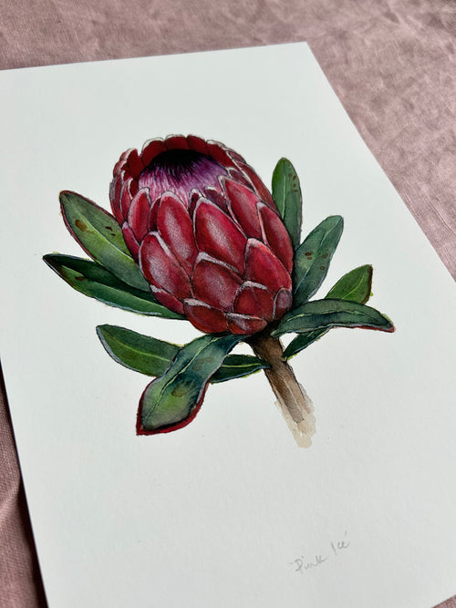 Pink Ice Giclée Print