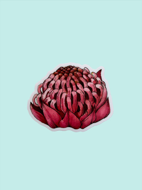 Waratah Vinyl Sticker