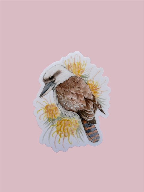 Kookaburra Vinyl Sticker