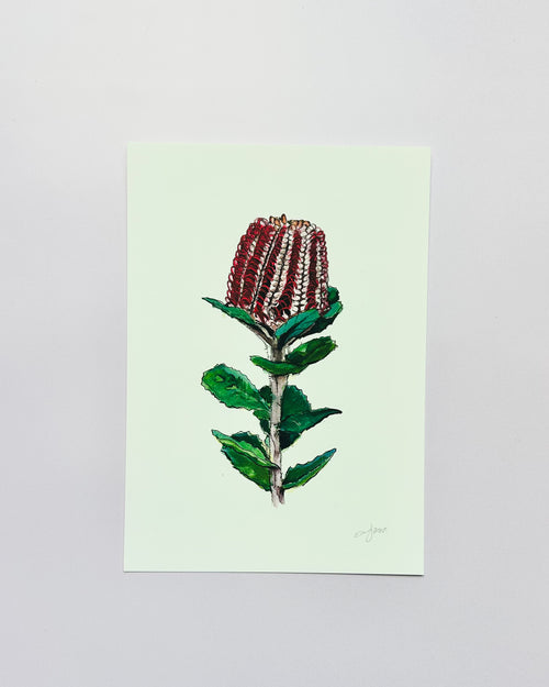 Coccinea Giclée Print