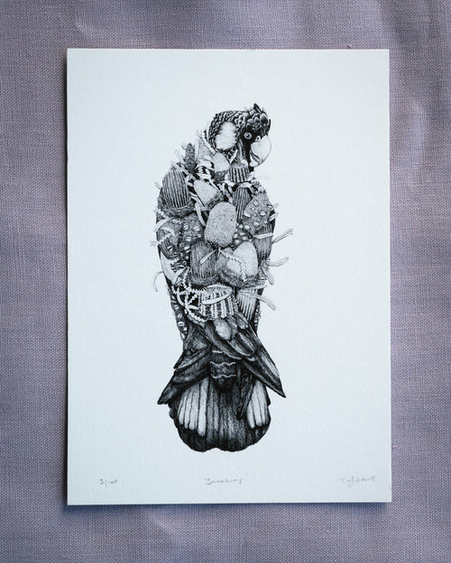 Sanctuary A4, A3