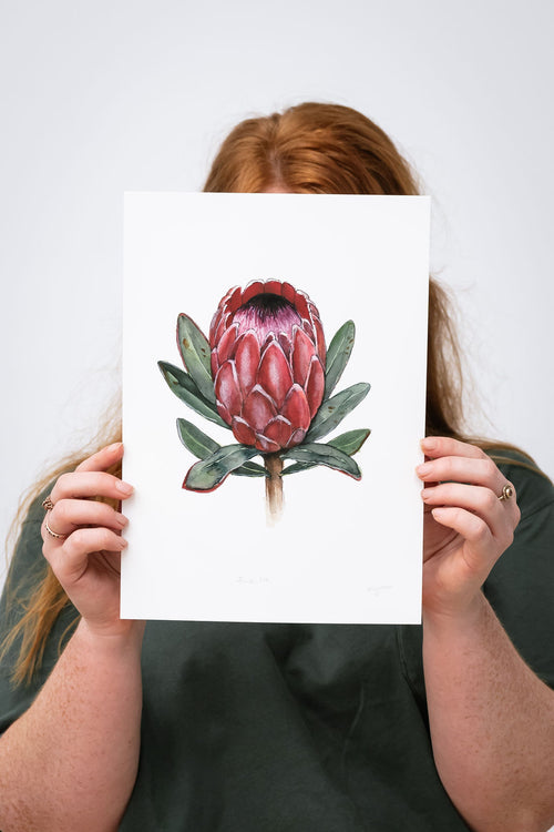 Pink Ice A5, A4, A3