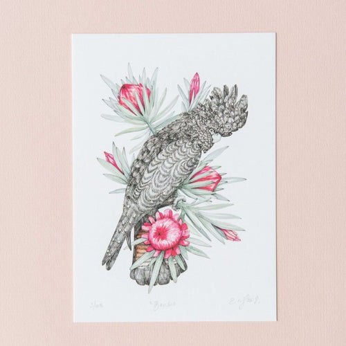 Banks Giclée Print