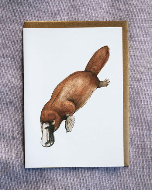 Lowanna Greeting Card