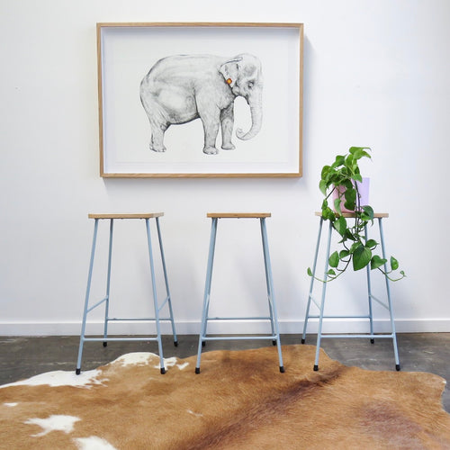Mae the elephant artwork by artist Emma Morgan