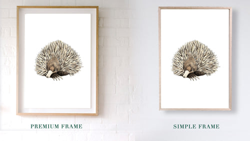 Alinta Giclée Print