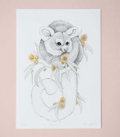 Greater Glider artwork by artist Emma Morgan