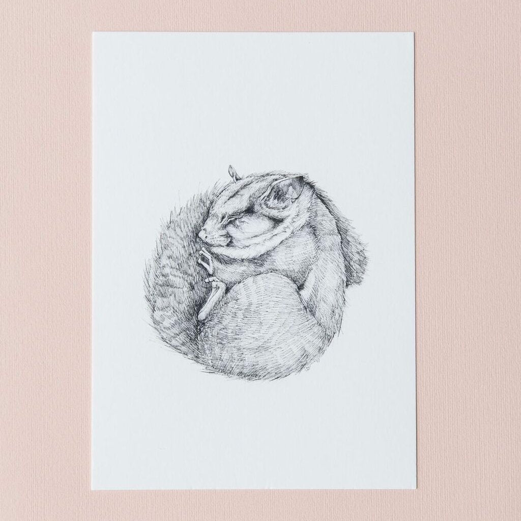 Leadbeater Dreams Giclée Print EMMA Emma