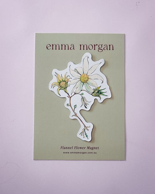 Flannel Flower Magnet