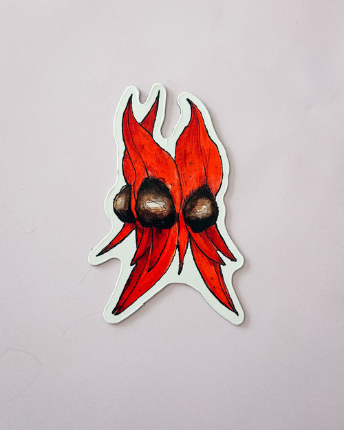 Sturt's Desert Pea Magnet