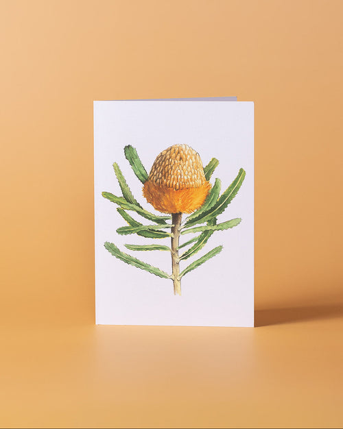 Banksia Burdettii Greeting Card