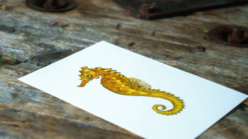 Little Seahorse Giclée Print