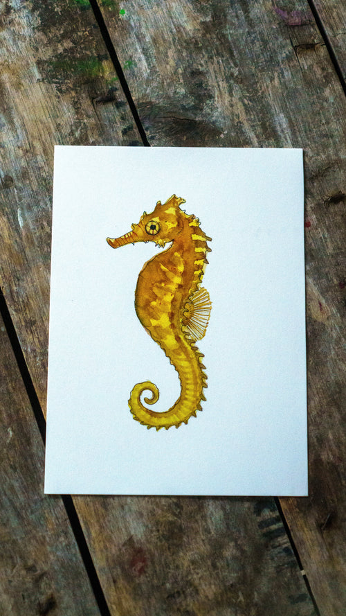 Little Seahorse Giclée Print