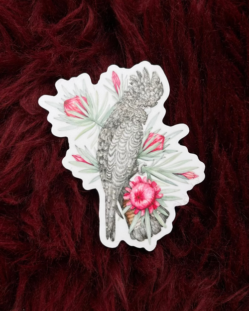 Black Cockatoo Vinyl Sticker