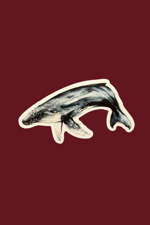 Humpback Whale Vinyl Sticker