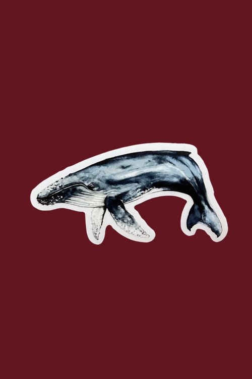 Humpback Whale Vinyl Sticker