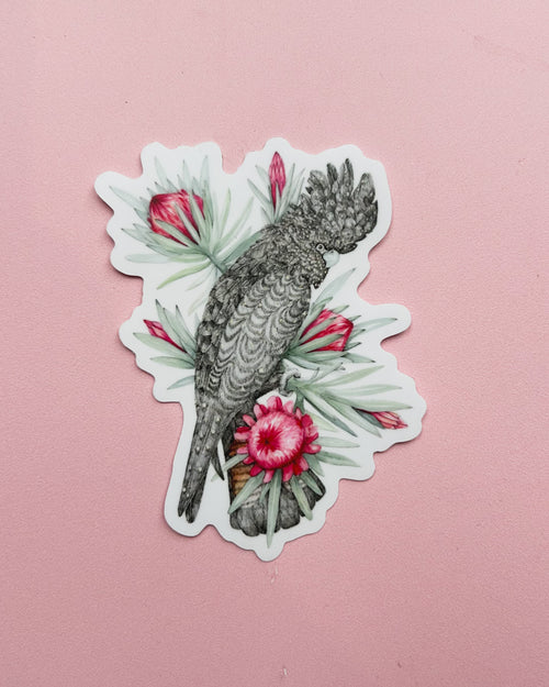 Black Cockatoo Vinyl Sticker