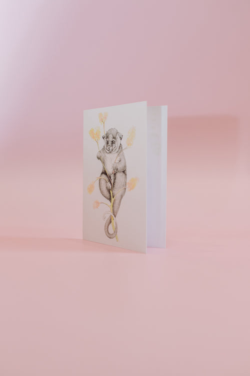 Possum Magic Greeting Card