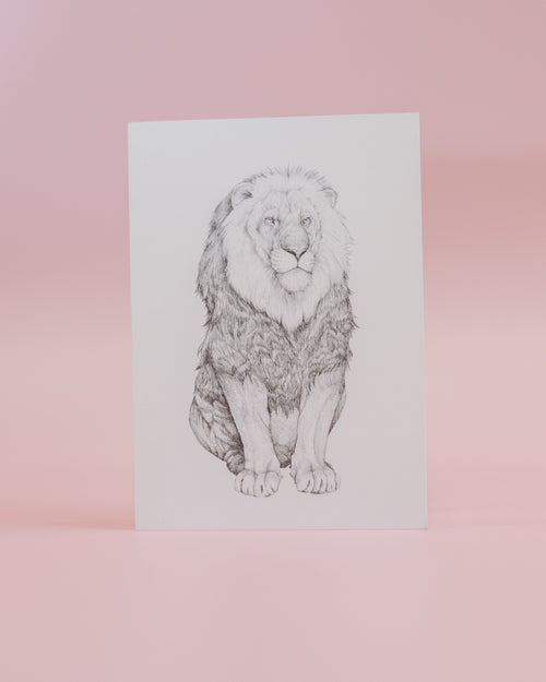 Alexander Greeting Card