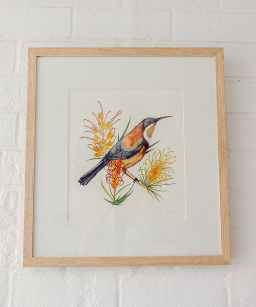 Little Spinebill Original Artwork