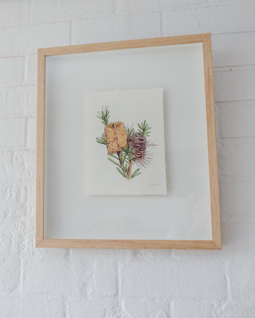 Banksia Marginata Original Arwork