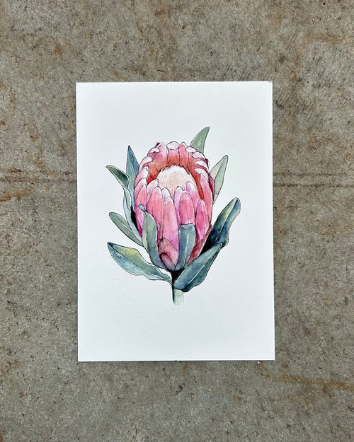Pink Pearl Giclée Print