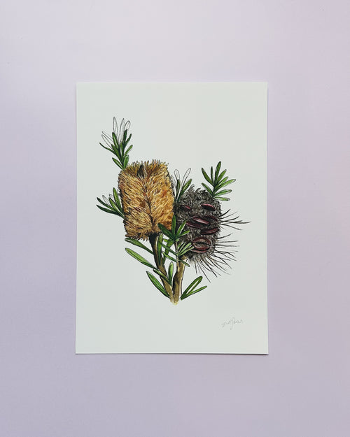 Marginata Giclée Print