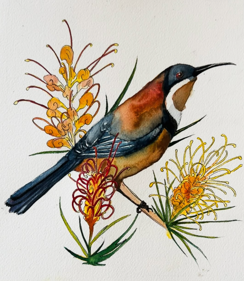 Little Spinebill Original Artwork
