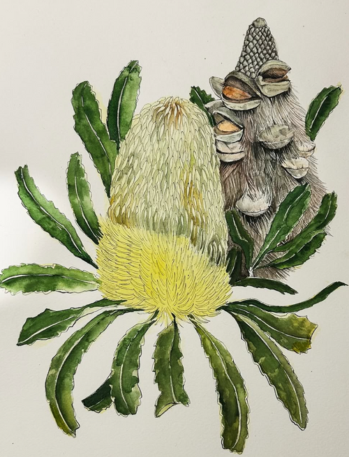 Serrata Original Artwork