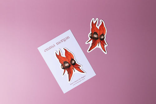 Sturt's Desert Pea Magnet