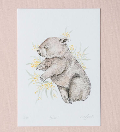 Cute wombat artwork "Bindi" by artist Emma Morgan