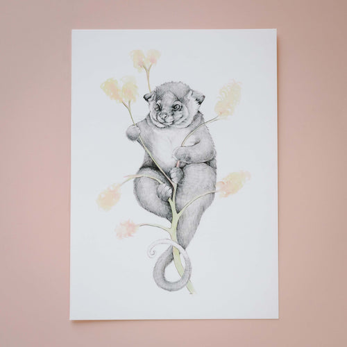 Possum Magic Giclée Print