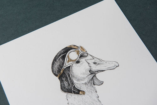 Aviator Duck GOLD ✧ Giclée Print